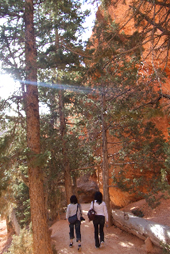 brycecanyon5