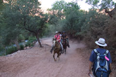 0902supai2